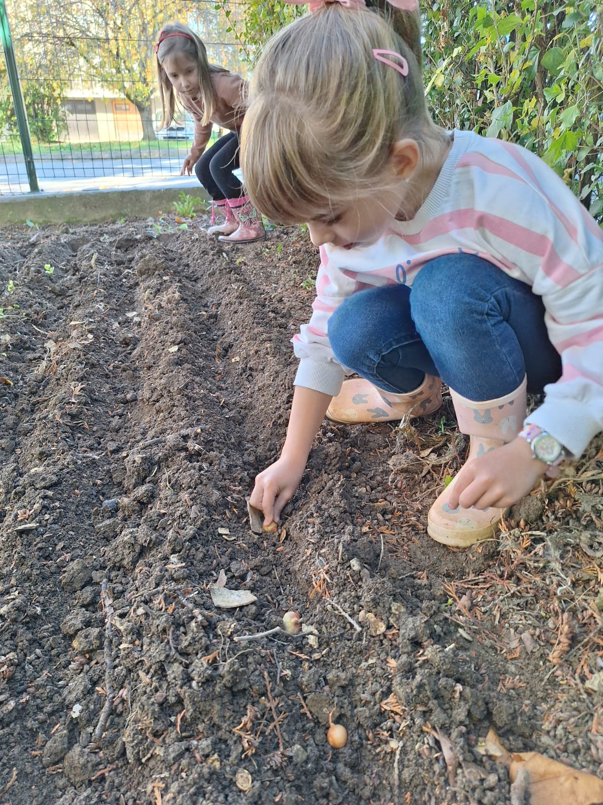 WhatsApp Image 2025-12-10 at 12.20.00