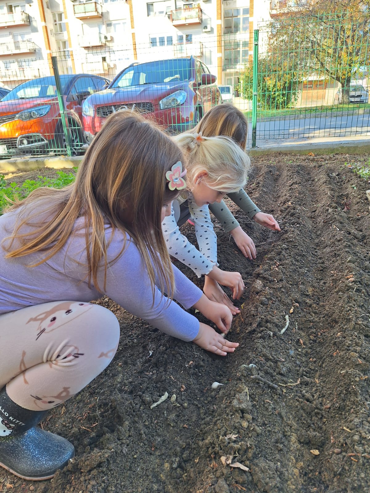 WhatsApp Image 2025-12-10 at 12.20.02