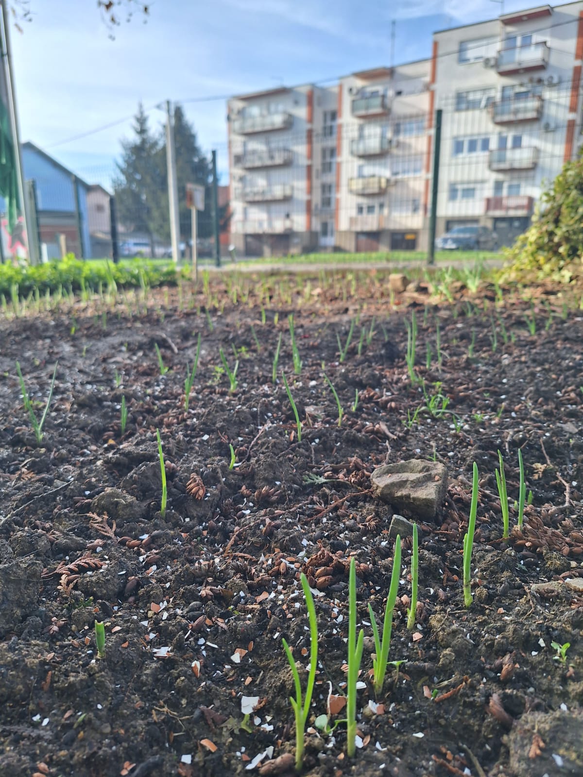 WhatsApp Image 2025-12-10 at 12.20.05