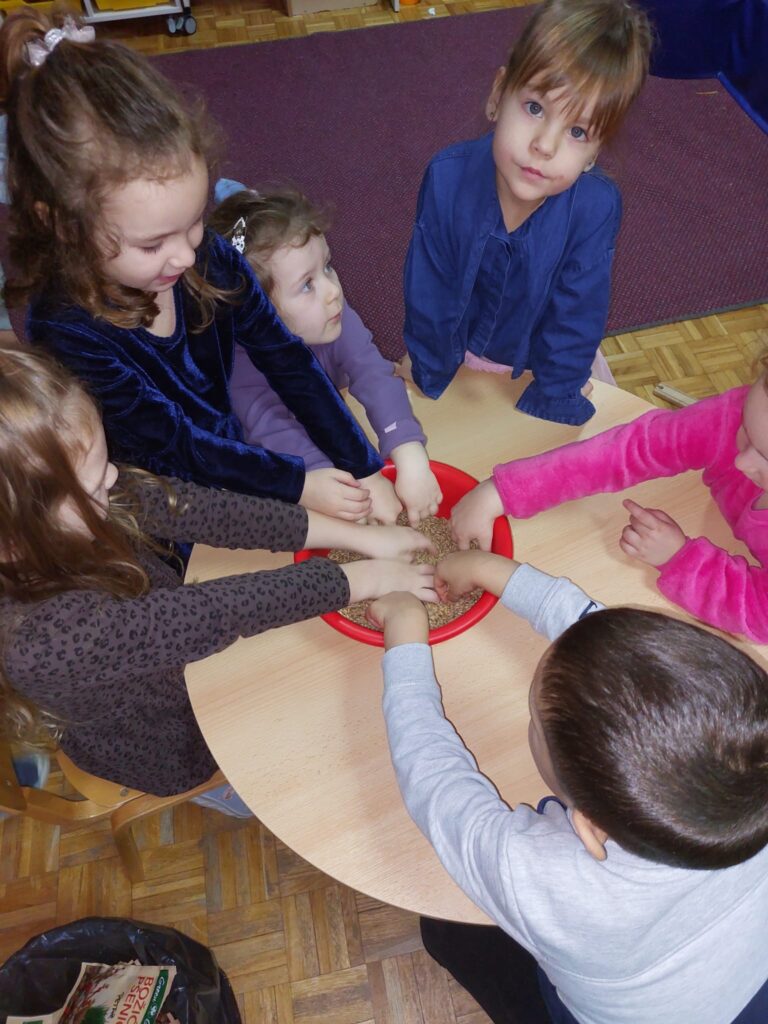 WhatsApp Image 2025-12-17 at 12.42.23 (3)