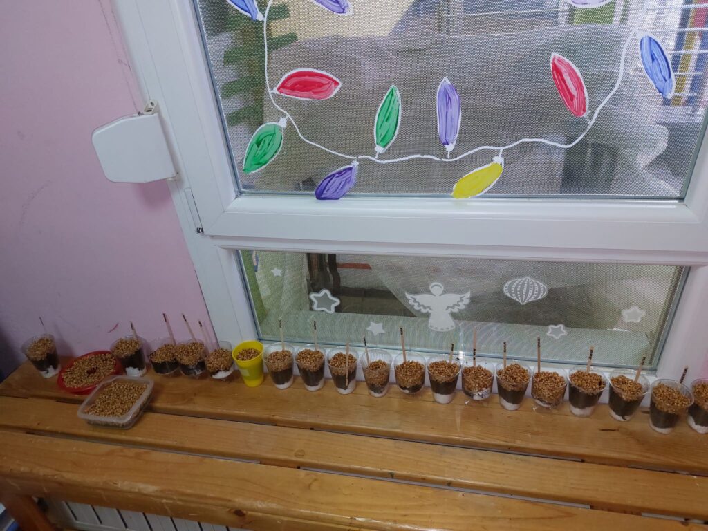 WhatsApp Image 2025-12-17 at 15.33.07