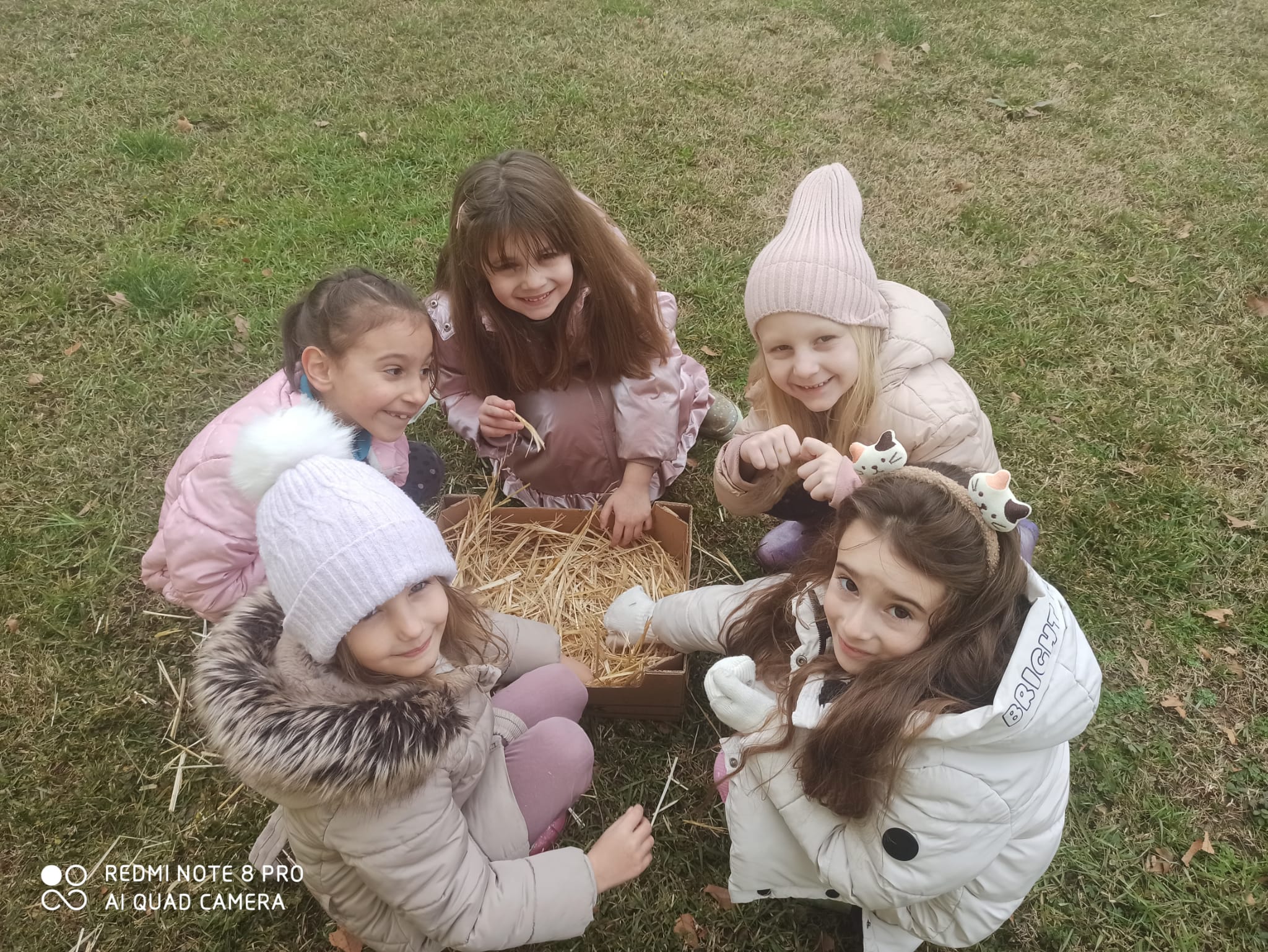 WhatsApp Image 2026-02-02 at 12.53.52