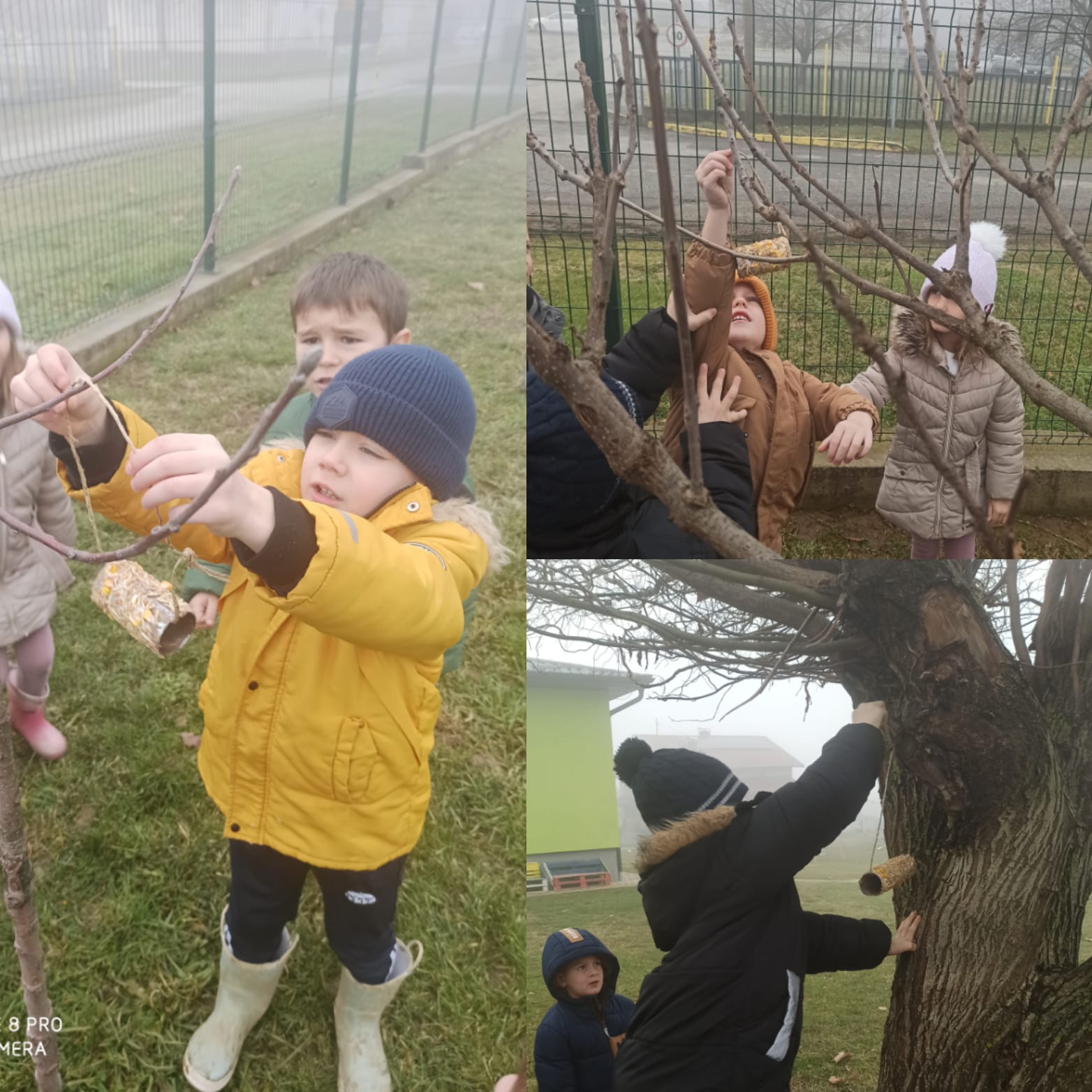 WhatsApp Image 2026-02-02 at 12.54.20