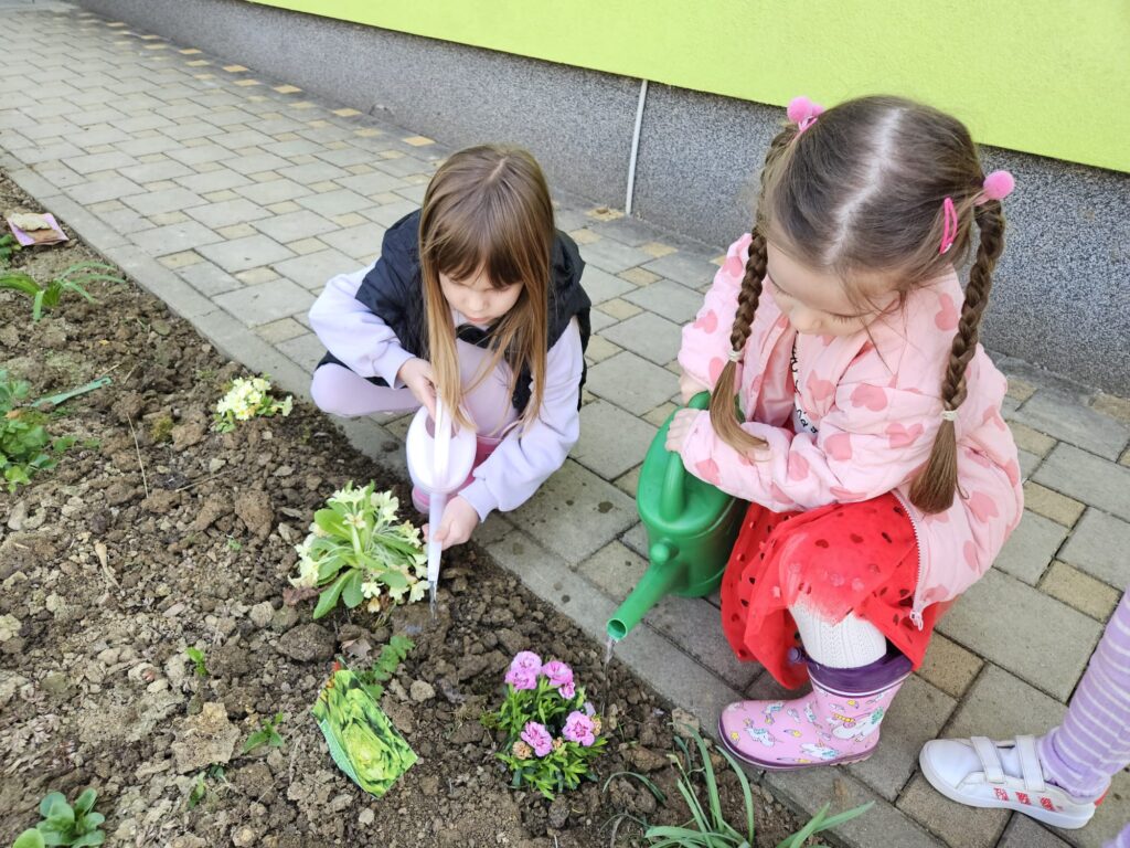 WhatsApp Image 2026-03-16 at 12.09.08 (1)