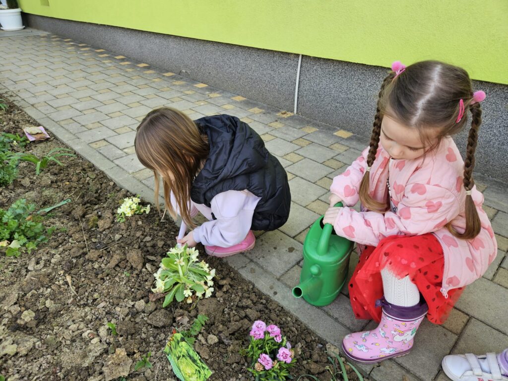 WhatsApp Image 2026-03-16 at 12.09.10