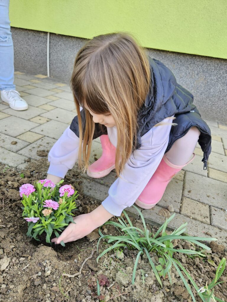 WhatsApp Image 2026-03-16 at 12.09.11 (2)