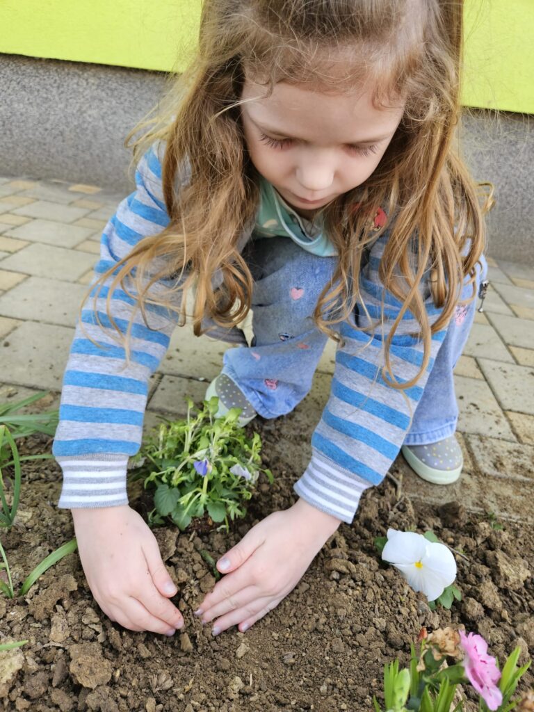 WhatsApp Image 2026-03-16 at 12.09.11 (3)