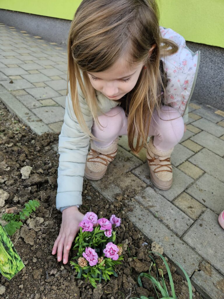 WhatsApp Image 2026-03-16 at 12.09.11