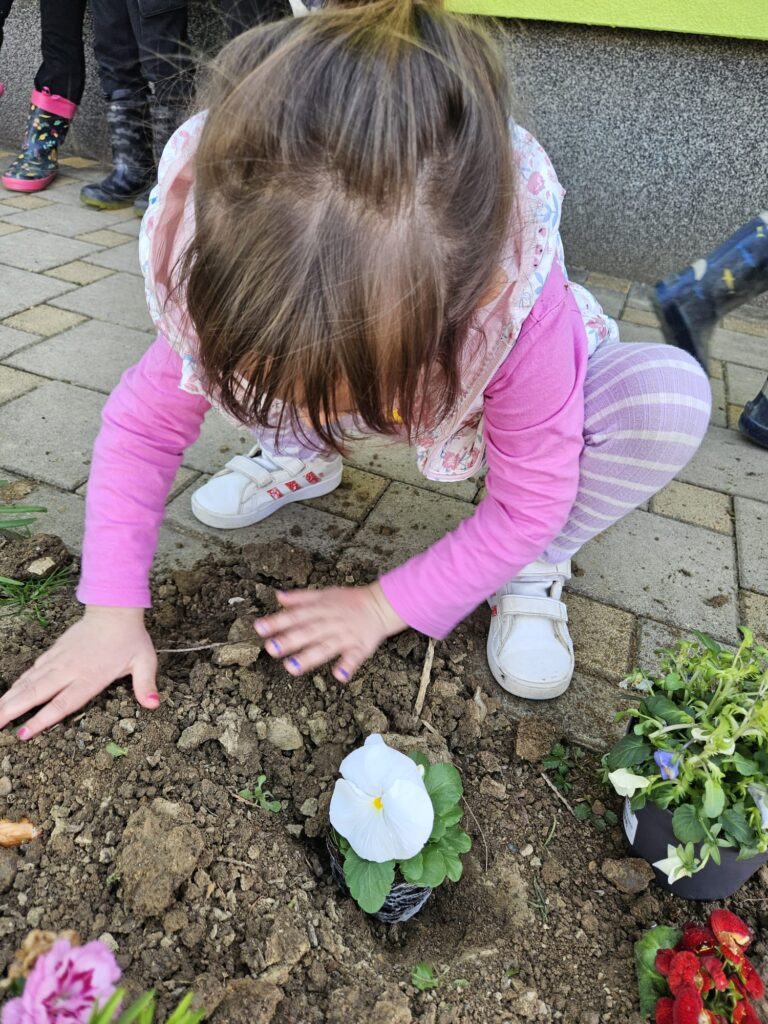 WhatsApp Image 2026-03-16 at 12.09.11 (5)