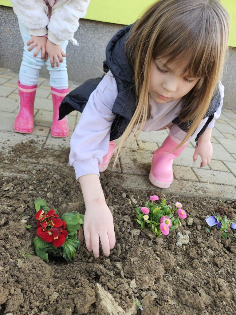 WhatsApp Image 2026-03-16 at 12.09.12 (1)