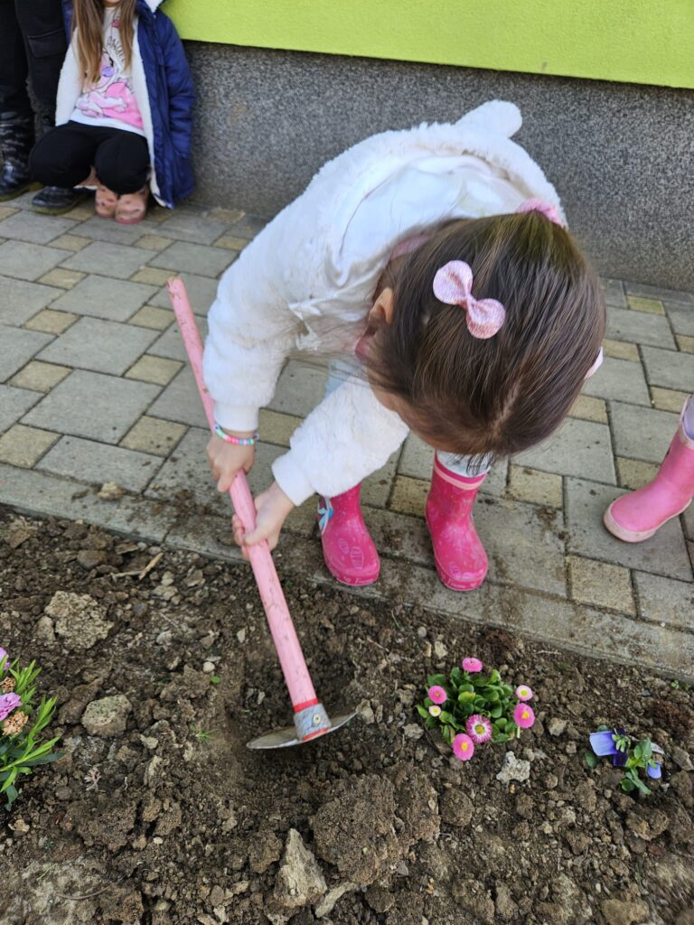 WhatsApp Image 2026-03-16 at 12.09.12 (3)