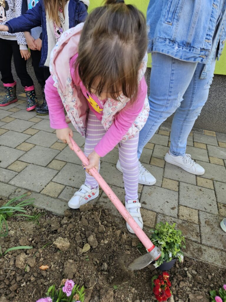 WhatsApp Image 2026-03-16 at 12.09.12