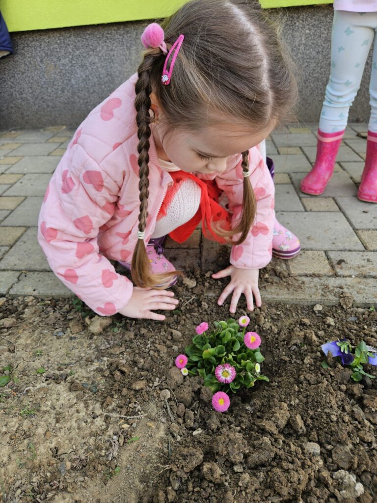 WhatsApp Image 2026-03-16 at 12.09.13 (2)