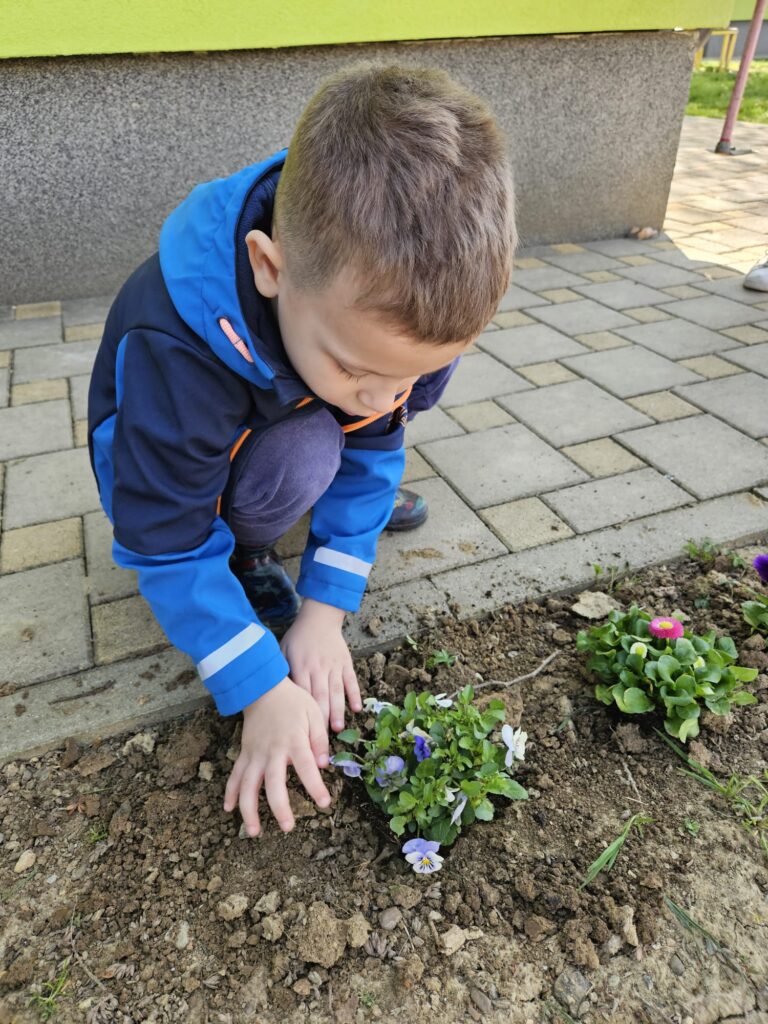 WhatsApp Image 2026-03-16 at 12.09.14 (3)