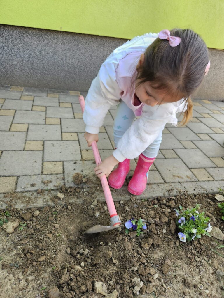 WhatsApp Image 2026-03-16 at 12.09.14