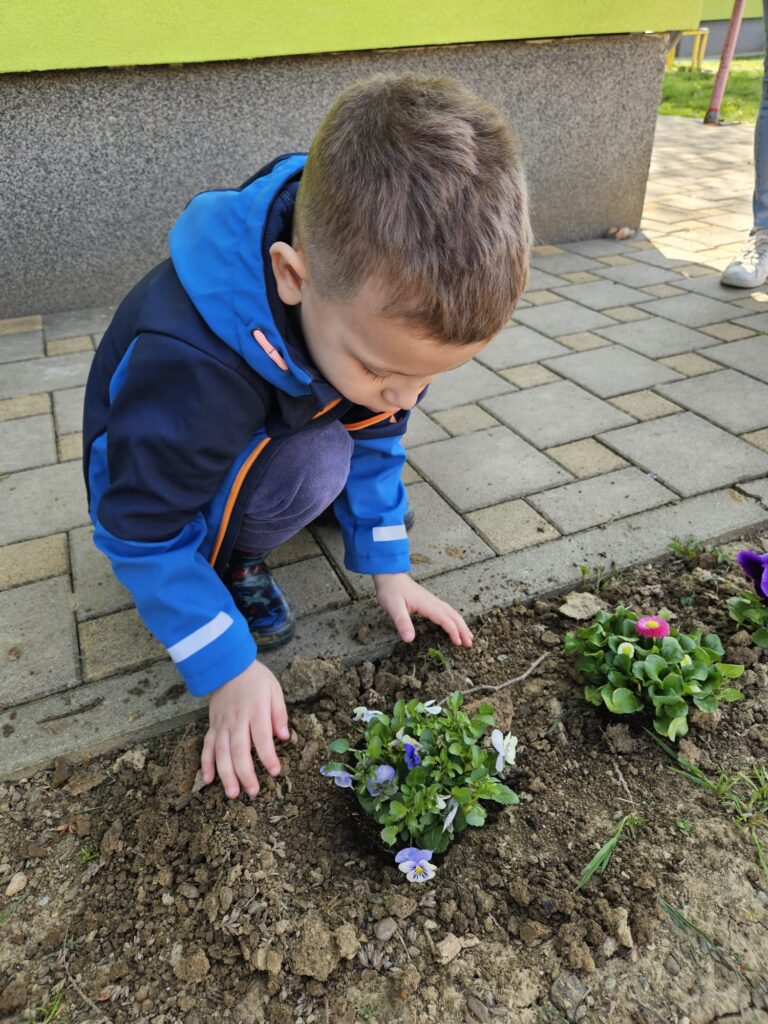 WhatsApp Image 2026-03-16 at 12.09.15