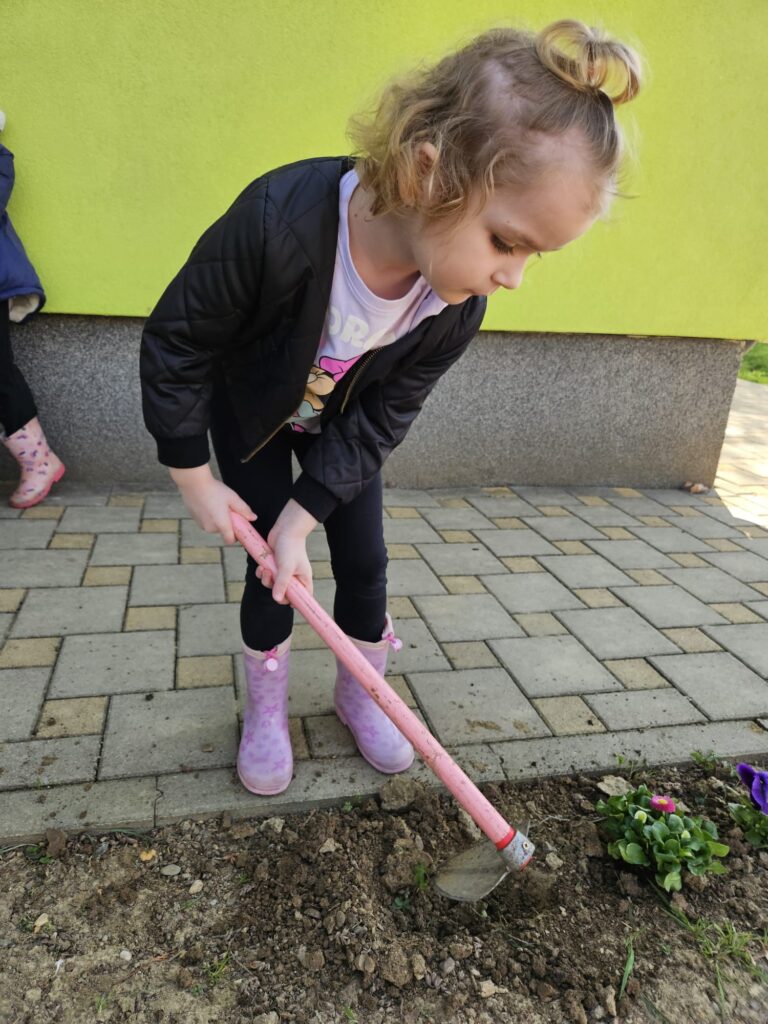 WhatsApp Image 2026-03-16 at 12.09.20 (1)