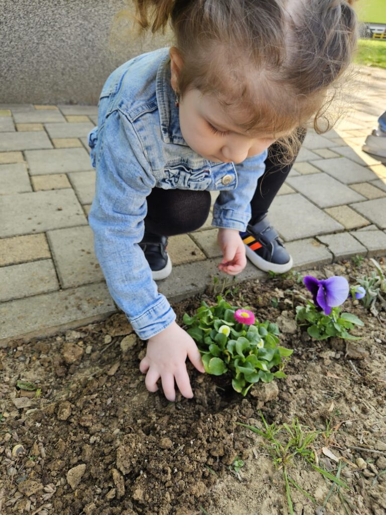 WhatsApp Image 2026-03-16 at 12.09.20 (3)