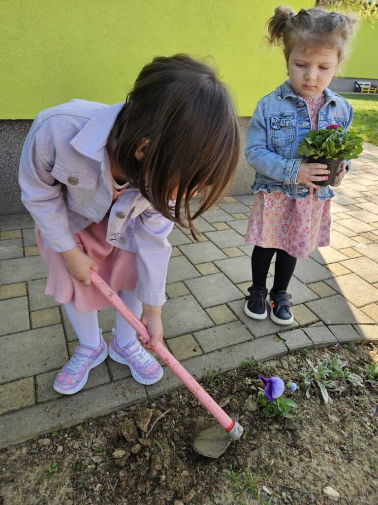 WhatsApp Image 2026-03-16 at 12.09.20 (4)