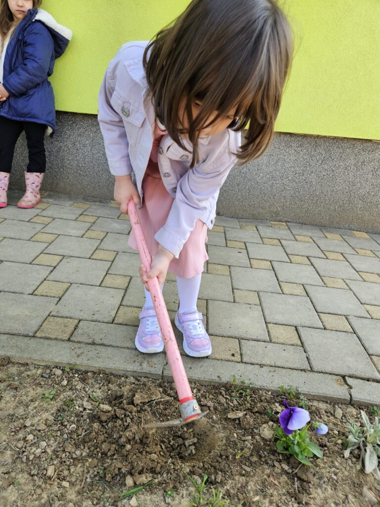 WhatsApp Image 2026-03-16 at 12.09.20 (5)