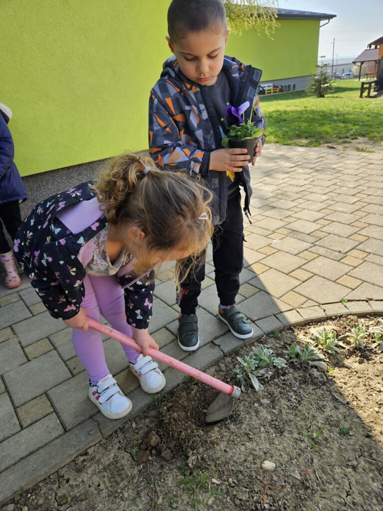 WhatsApp Image 2026-03-16 at 12.09.21 (1)