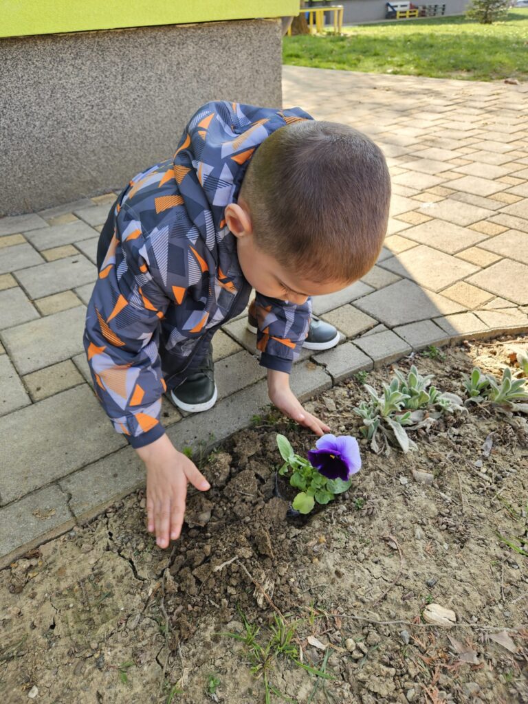 WhatsApp Image 2026-03-16 at 12.09.21