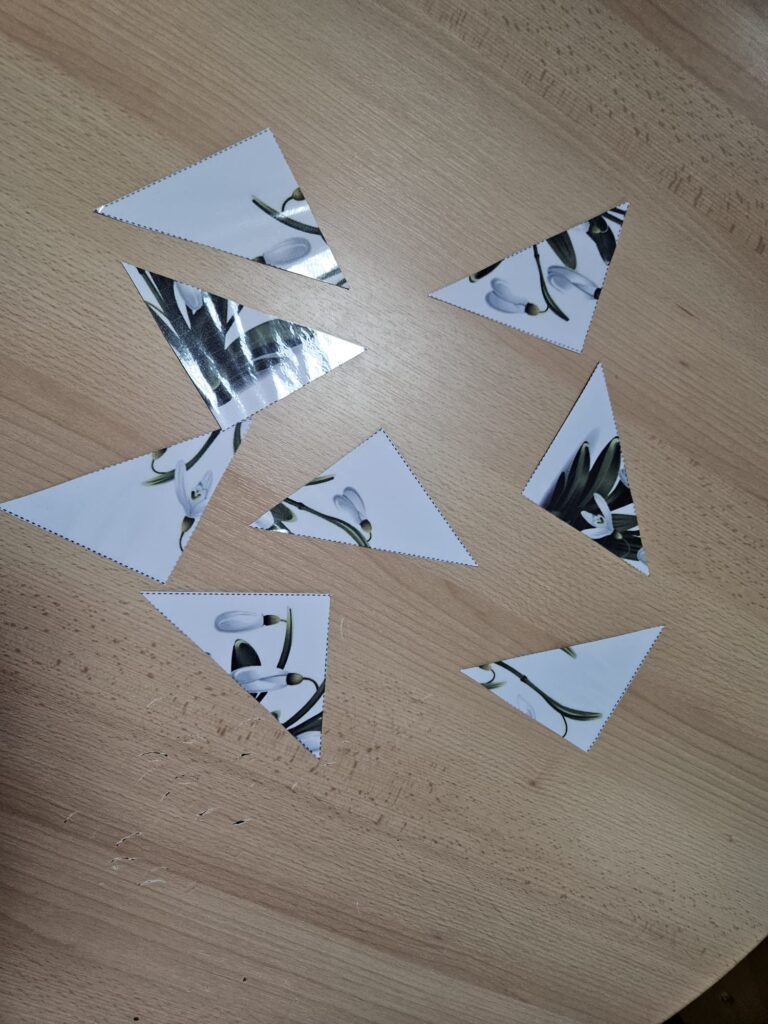 WhatsApp Image 2026-03-16 at 12.09.21 (6)